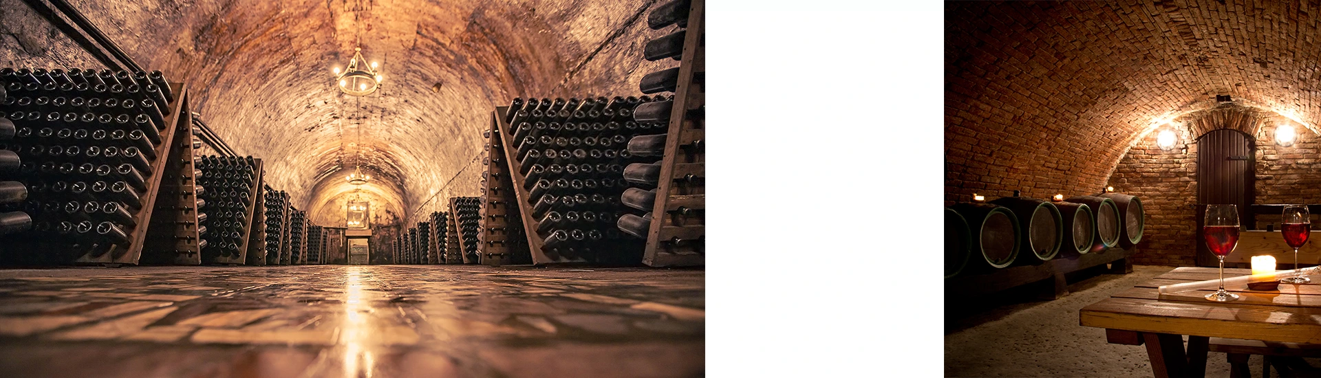 Excursions dans les vignobles