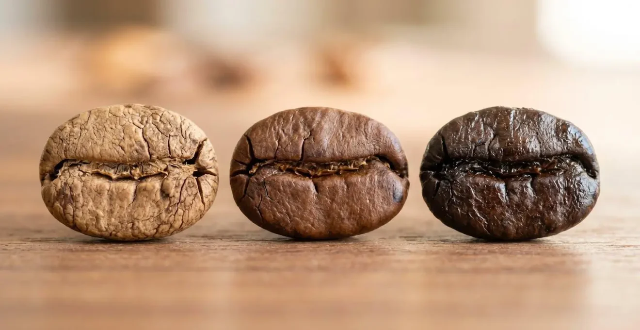 Gros plan sur trois grains de café torréfiés présentant trois nuances différentes, posés sur une surface en bois contemporaine